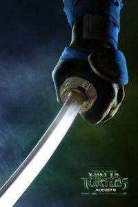 Does Better Computer Graphics make a better Ninja?